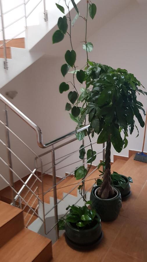 Dativo House Navodari Bagian luar foto